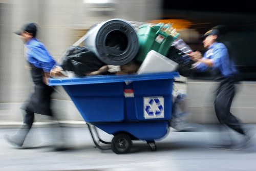 Overview of garden debris removal process