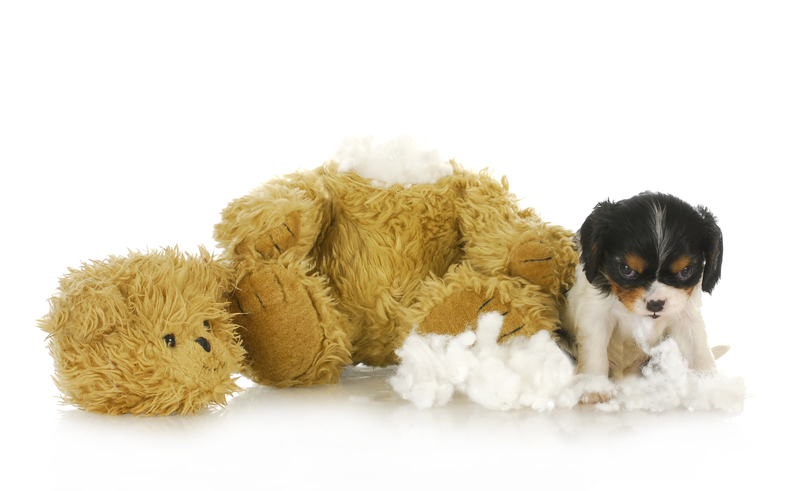 Effective Approaches to Disposing of Hard Rubbish