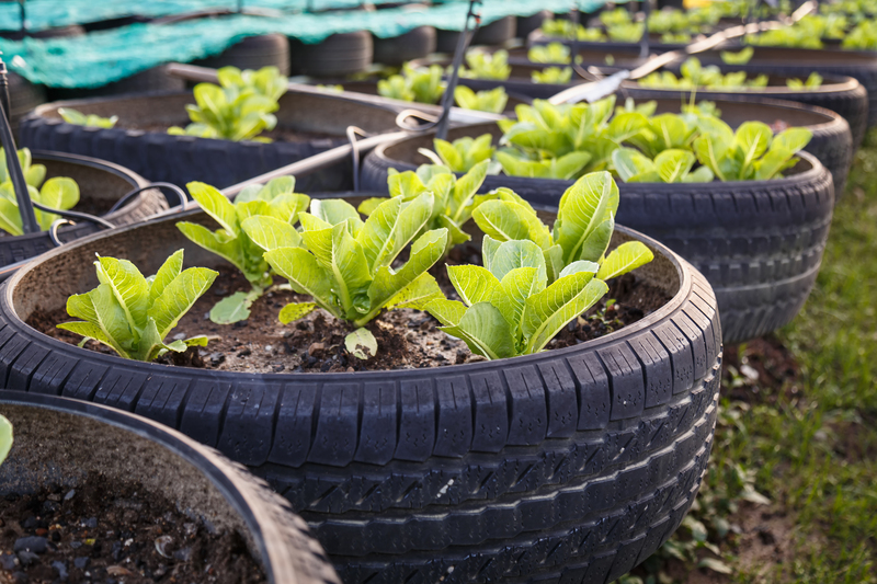 Green Initiatives: Recycling in the Food Industry